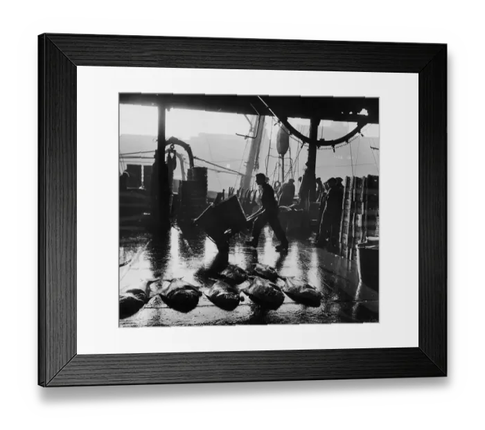 Framed Print : Fishing In Hull Framed Print : Fishing In Hull