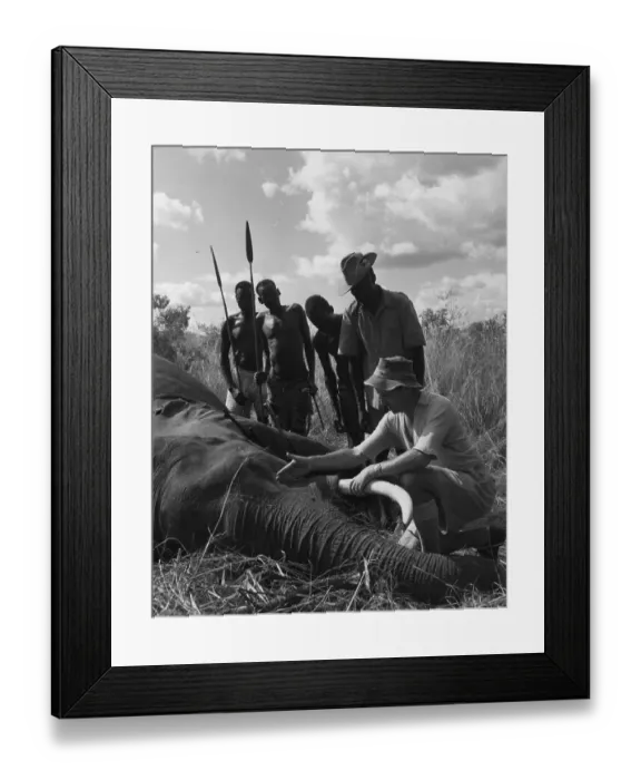 Framed Print : Colonization Framed Print : Colonization