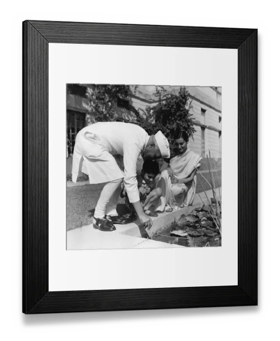 Framed Print : Jawaharlal Nehru Framed Print : Jawaharlal Nehru