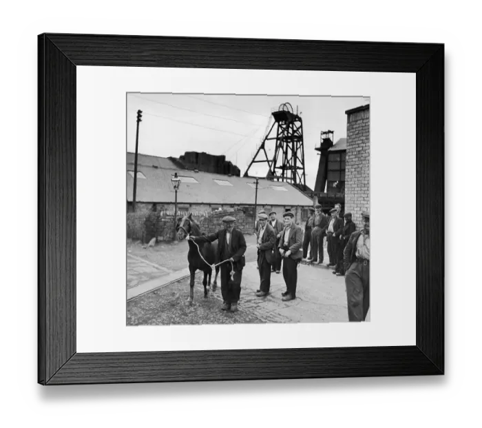 Framed Print : Pit Pony At Heworth Framed Print : Pit Pony At Heworth