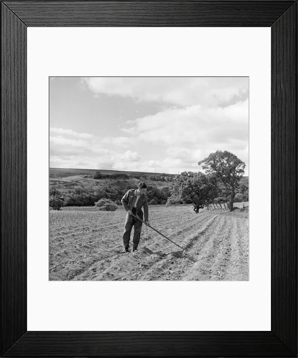 Framed Print : Farm Labourer Framed Print : Farm Labourer