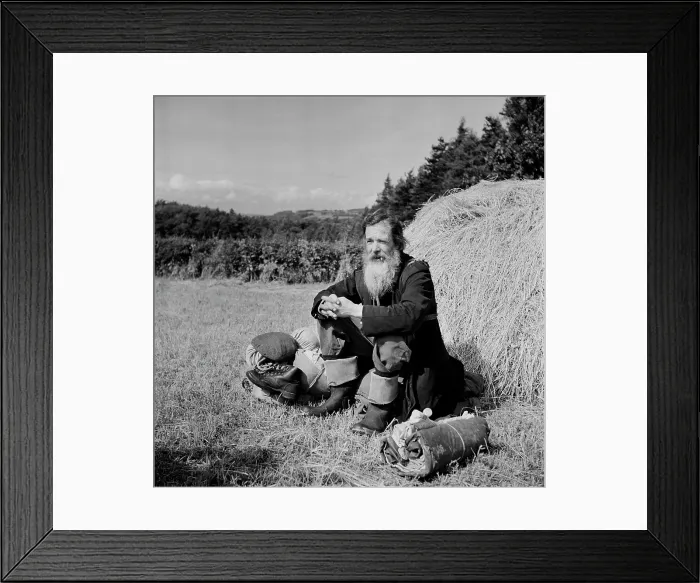 Framed Print : Tramp In Northumbria Framed Print : Tramp In Northumbria