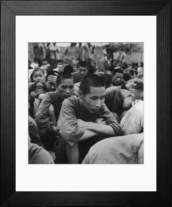 Framed Print : Internees At Busan Framed Print : Internees At Busan