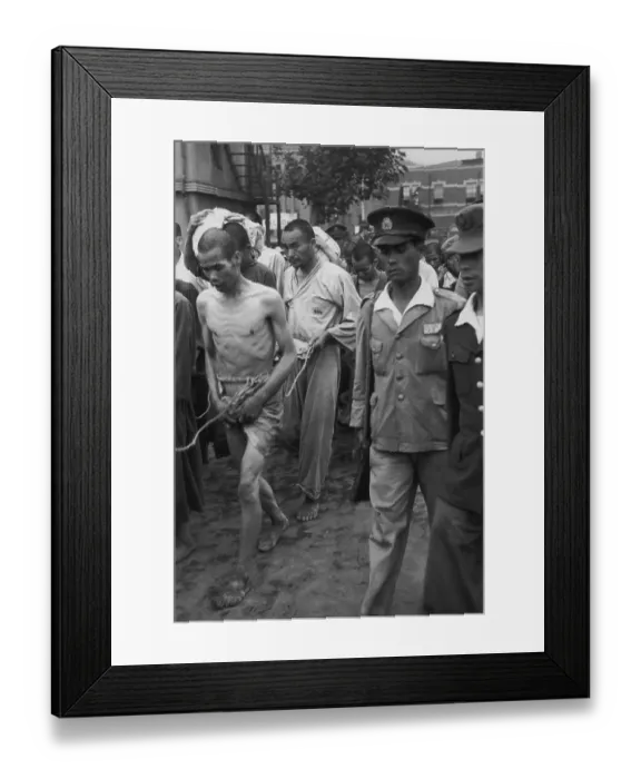 Framed Print : Internees Arrive