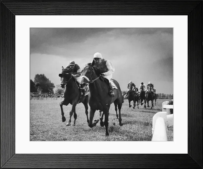 Framed Print : Up From Down Under Framed Print : Up From Down Under