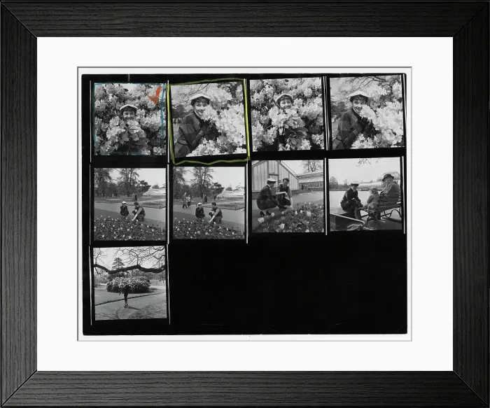 Framed Print : Audrey Hepburn At Kew Gardens Framed Print : Audrey Hepburn At Kew Gardens