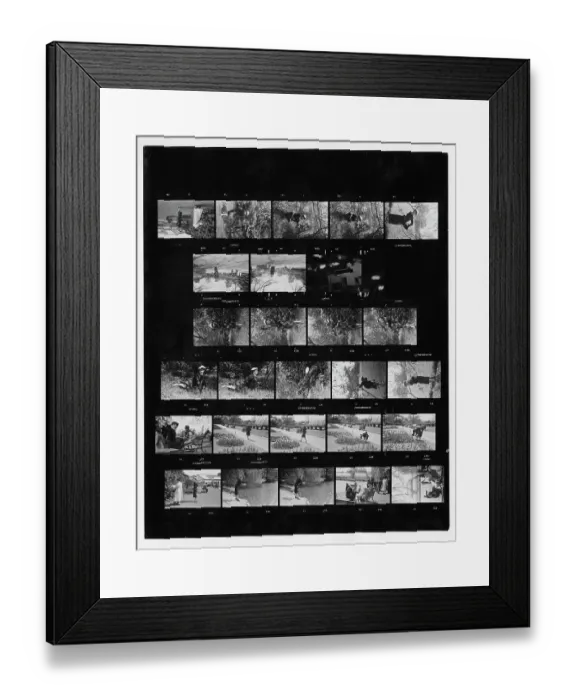 Framed Print : Audrey Hepburn At Kew Gardens Framed Print : Audrey Hepburn At Kew Gardens