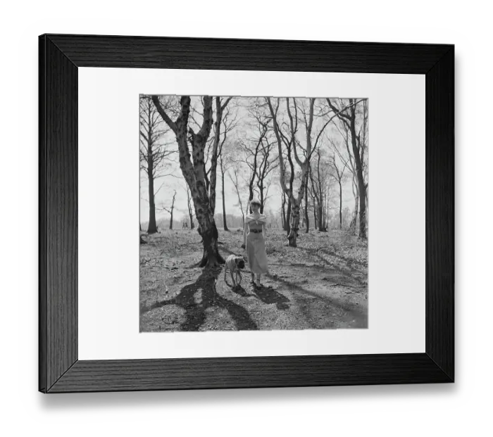 Framed Print : Audrey Hepburn In Richmond Park Framed Print : Audrey Hepburn In Richmond Park