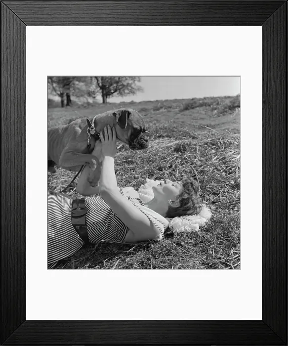 Framed Print : Audrey Hepburn In Richmond Park Framed Print : Audrey Hepburn In Richmond Park