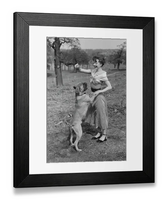 Framed Print : Audrey Hepburn In Richmond Park Framed Print : Audrey Hepburn In Richmond Park