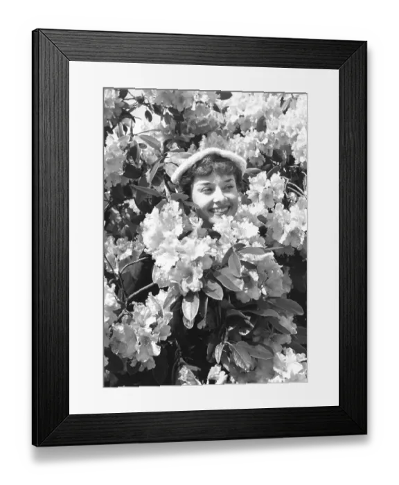 Framed Print : Hepburn In Flowers Framed Print : Hepburn In Flowers