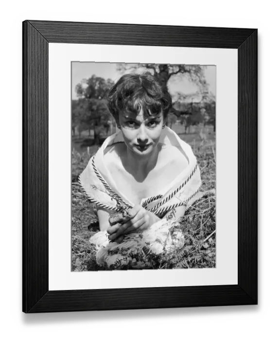 Framed Print : Audrey Hepburn Framed Print : Audrey Hepburn