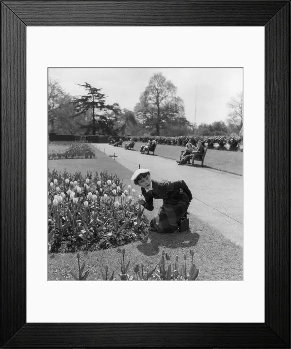 Framed Print : Audrey Hepburn Framed Print : Audrey Hepburn