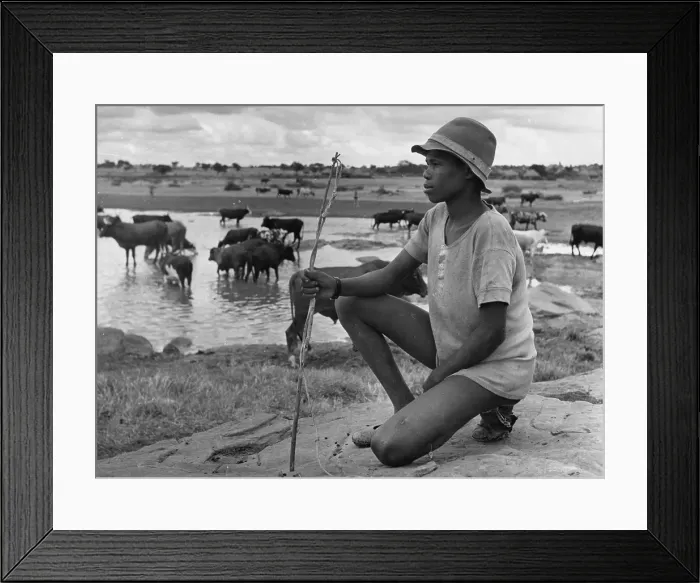 Framed Print : Young Herdsman Framed Print : Young Herdsman