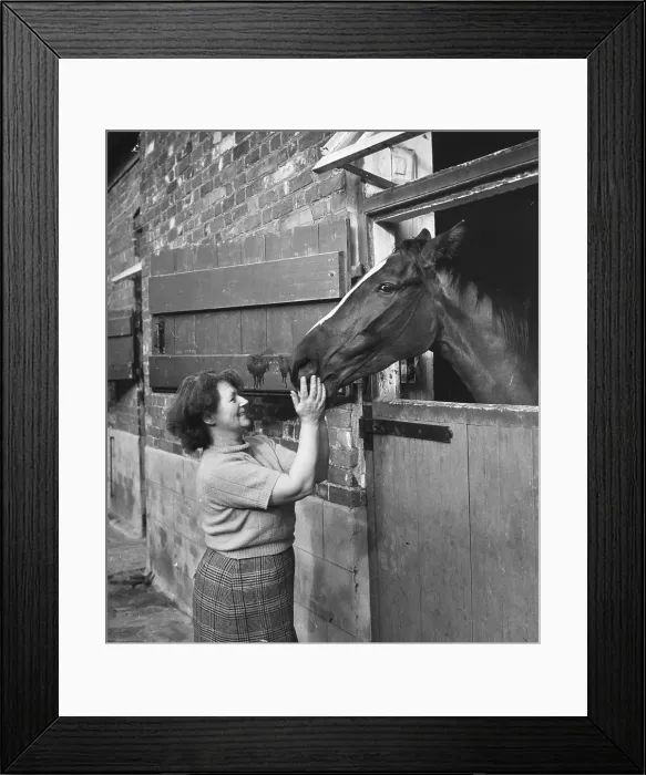 Framed Print : Horse In Stable Framed Print : Horse In Stable