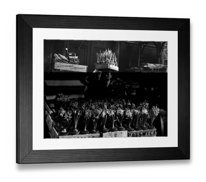 Framed Print : Spring Time Framed Print : Spring Time