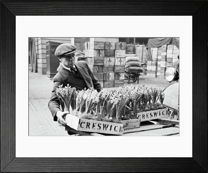 Framed Print : Box Of Bulbs Framed Print : Box Of Bulbs