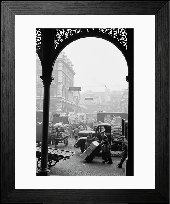 Framed Print : Garden Arch Framed Print : Garden Arch