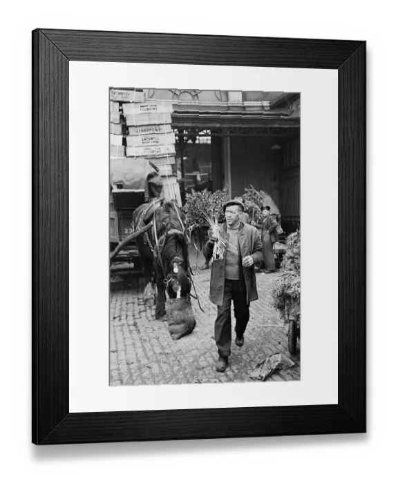 Framed Print : Nosebag And Nosegays Framed Print : Nosebag And Nosegays