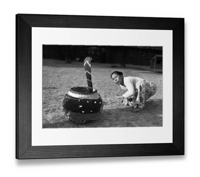 Framed Print : Snake Charmer