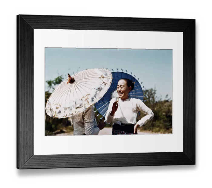 Framed Print : Burmese Parasols Framed Print : Burmese Parasols