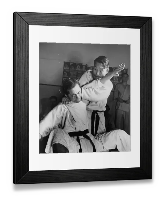 Framed Print : Judo Master Framed Print : Judo Master