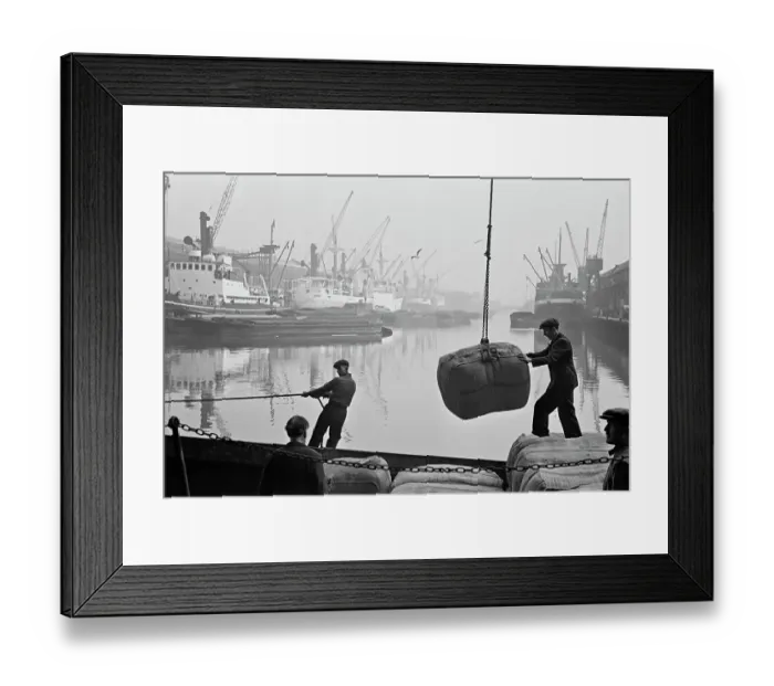 Framed Print : Unloading Bales Of Wool Framed Print : Unloading Bales Of Wool