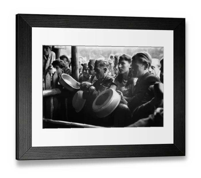 Framed Print : Waiting For Food Framed Print : Waiting For Food