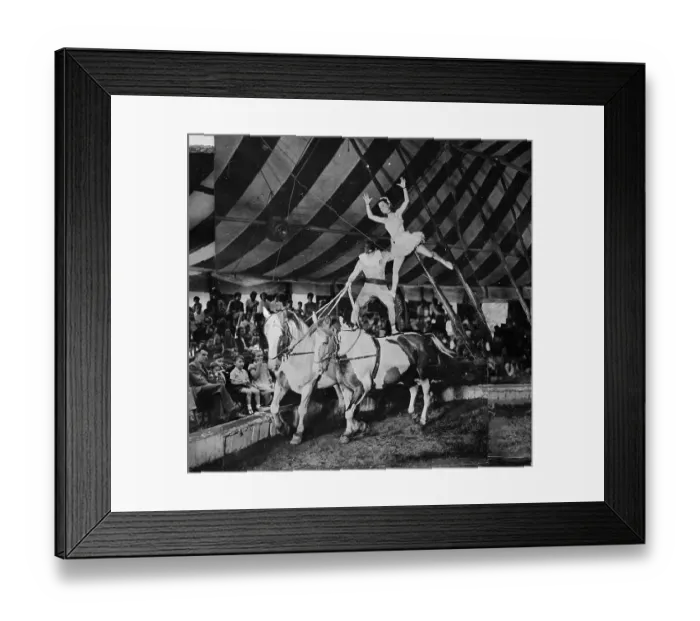 Framed Print : Circus Queen Framed Print : Circus Queen