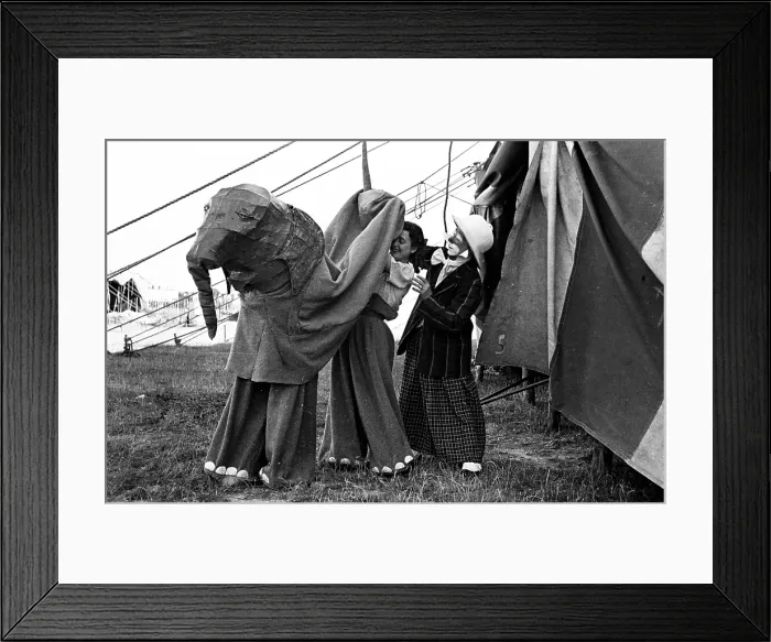 Framed Print : Elephant Costume