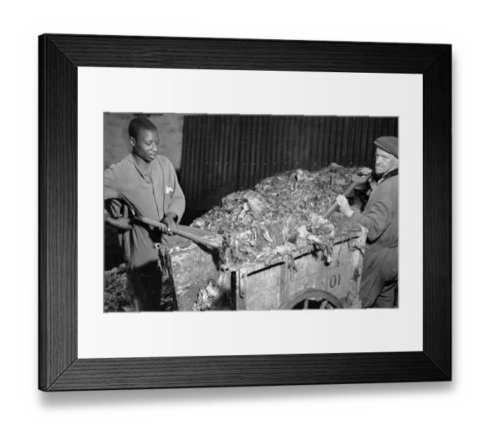 Framed Print : Shovelling Refuse Framed Print : Shovelling Refuse