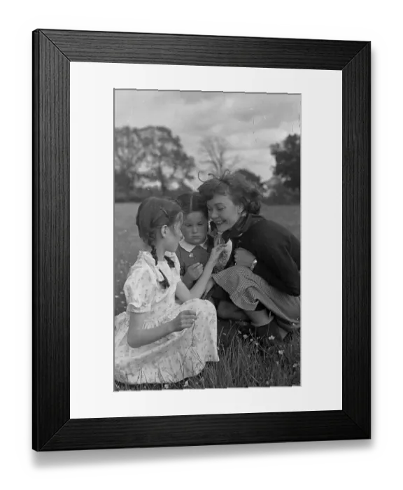 Framed Print : Buttercup Chin Framed Print : Buttercup Chin