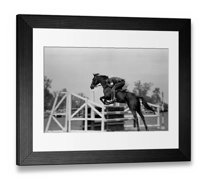 Framed Print : Horse Trials Framed Print : Horse Trials