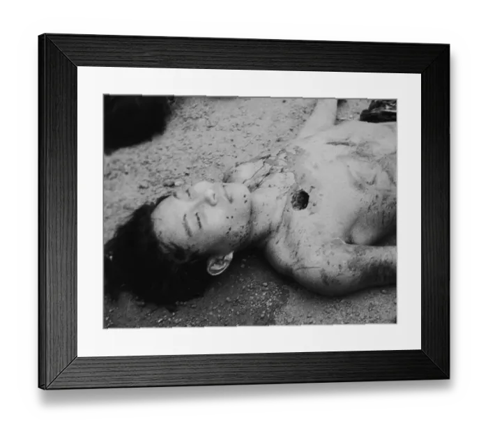 Framed Print : Chinese Bandit Framed Print : Chinese Bandit