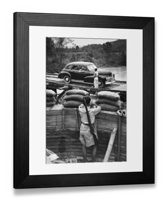 Framed Print : Rubber Planter Framed Print : Rubber Planter