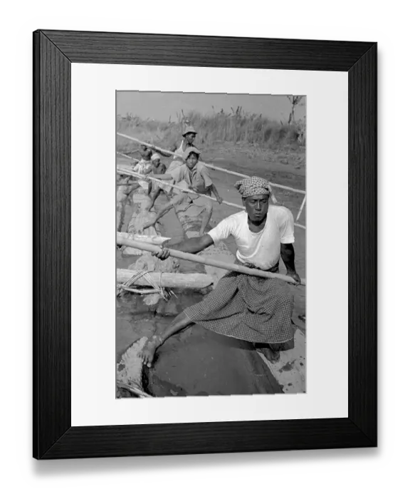 Framed Print : Burmese Rafters Framed Print : Burmese Rafters