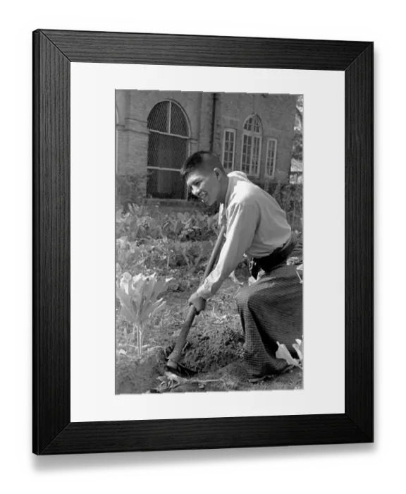 Framed Print : Digging For Victory Framed Print : Digging For Victory