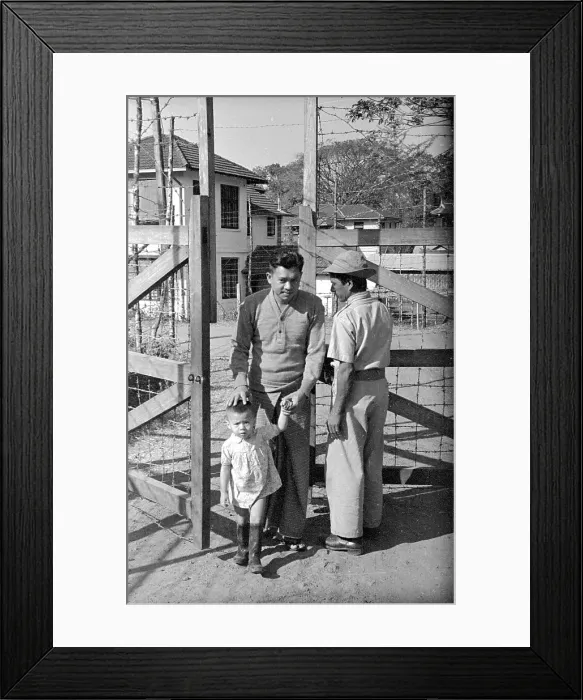 Framed Print : Safety Zone Framed Print : Safety Zone