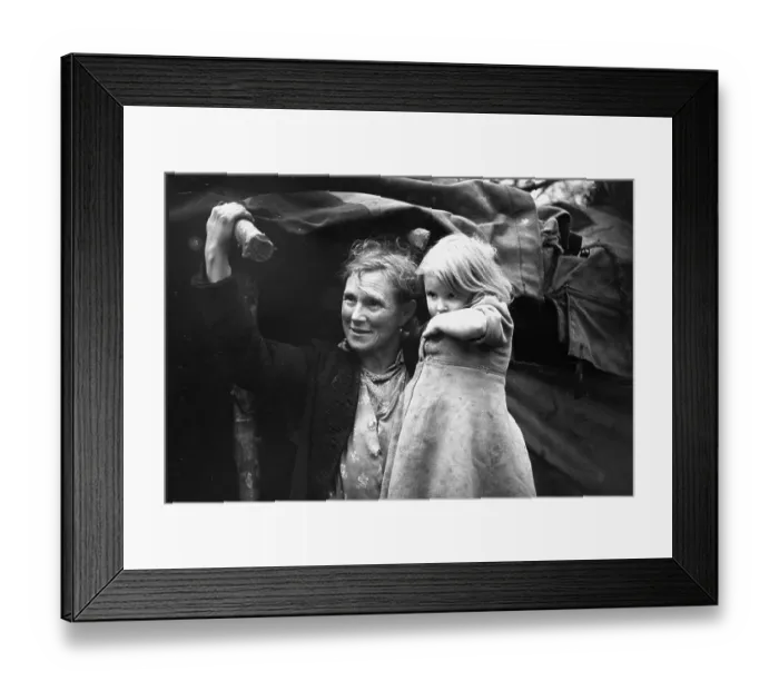 Framed Print : Slums Under The Trees Framed Print : Slums Under The Trees