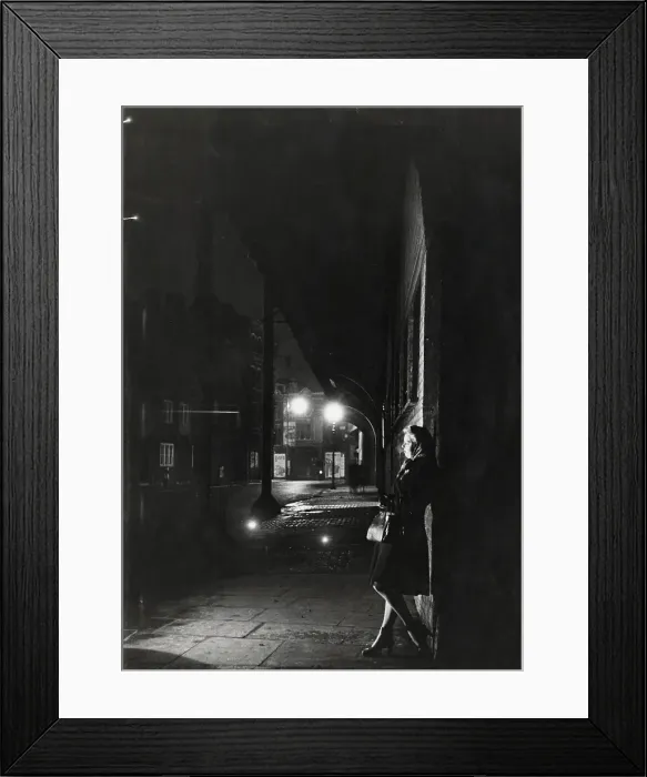 Framed Print : The Elephant By Night Framed Print : The Elephant By Night