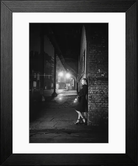 Framed Print : Life In The Elephant Framed Print : Life In The Elephant