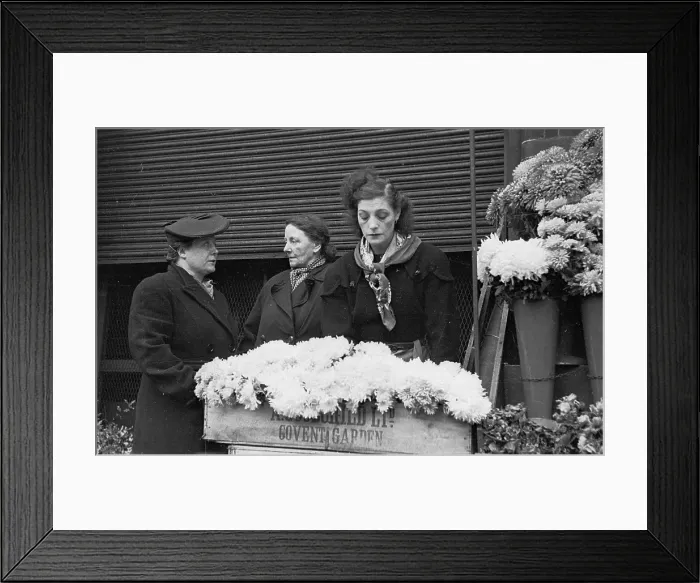 Framed Print : For Any Occasion Framed Print : For Any Occasion