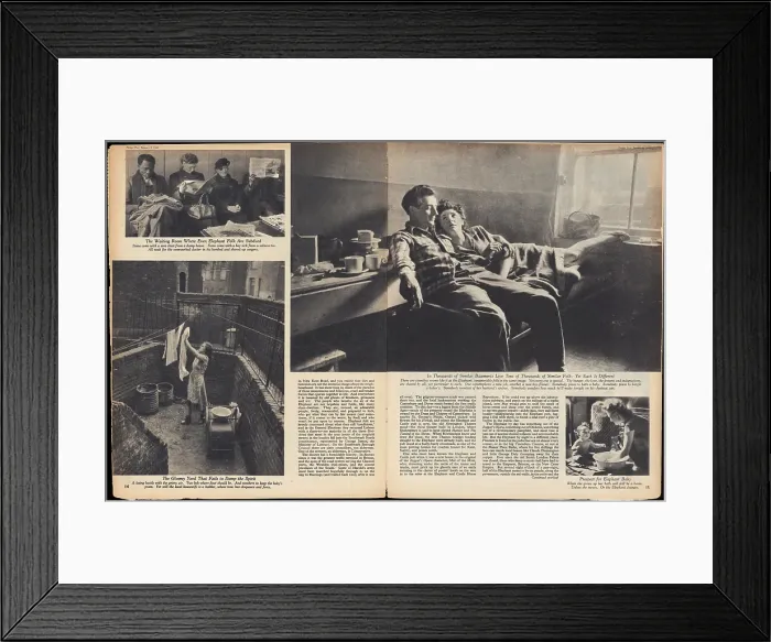 Framed Print : Scenes From The Elephant Framed Print : Scenes From The Elephant
