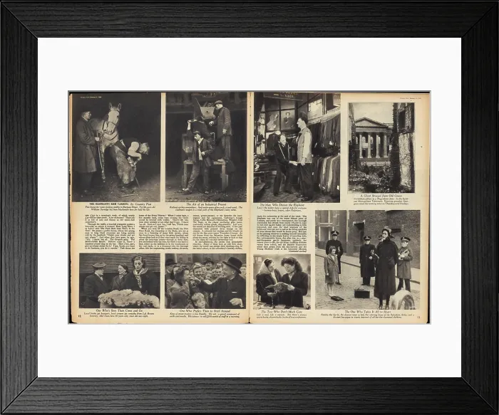 Framed Print : Life In The Elephant Framed Print : Life In The Elephant
