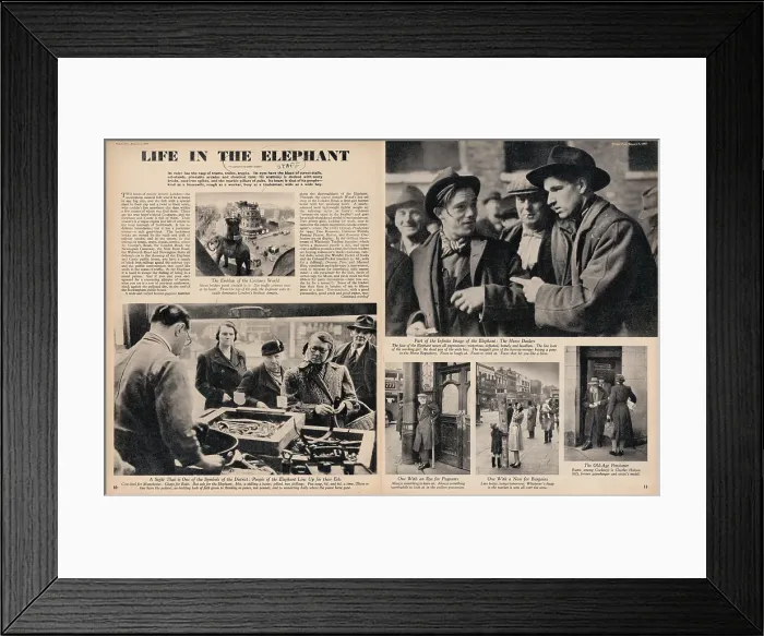 Framed Print : Life In The Elephant