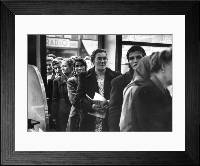 Framed Print : Elephant Eels Framed Print : Elephant Eels