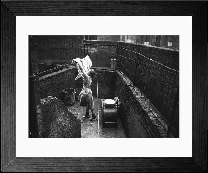 Framed Print : Elephant Yard