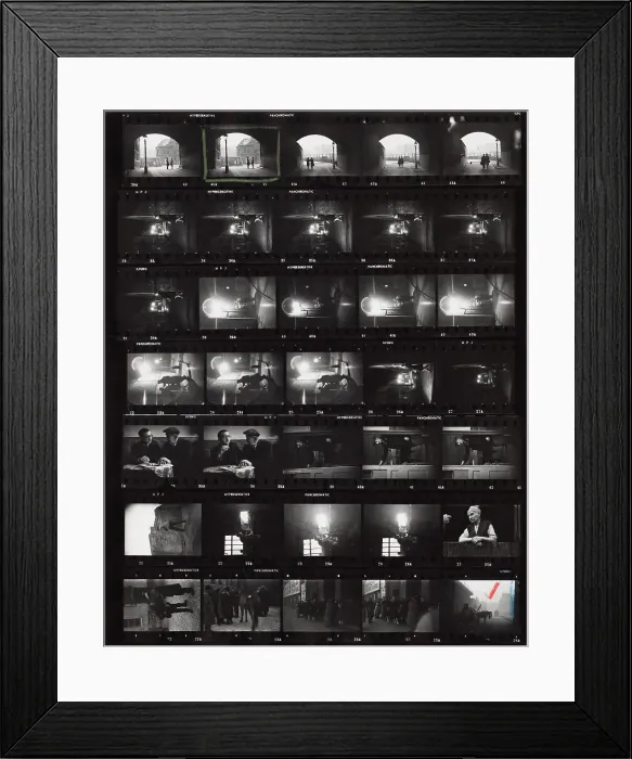 Framed Print : Life In The Elephant Framed Print : Life In The Elephant
