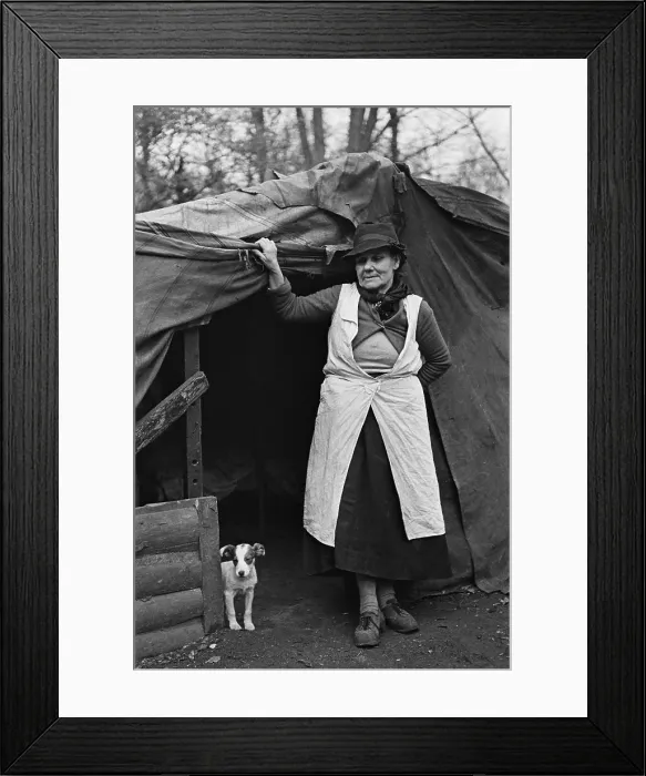 Framed Print : New Forest Tent Dweller Framed Print : New Forest Tent Dweller
