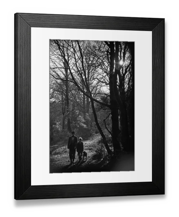 Framed Print : New Forest Residents Framed Print : New Forest Residents